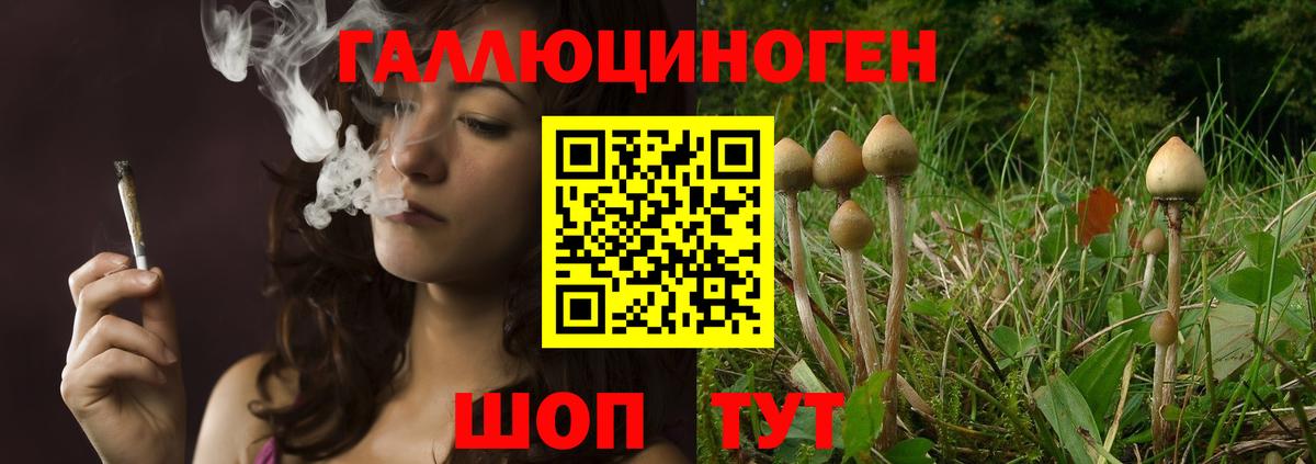Галлюциногенные грибы прущие грибы Углич